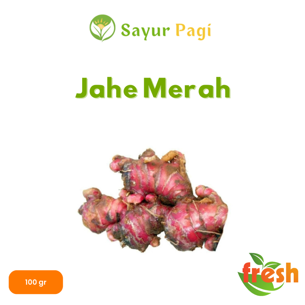 

Rempah Rempah Jahe Merah - Bumbu Dapur