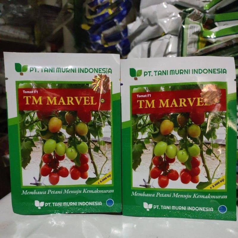 Benih bibit Tomat Hibrida TM MARVEL F1 10 gram 3000 biji
