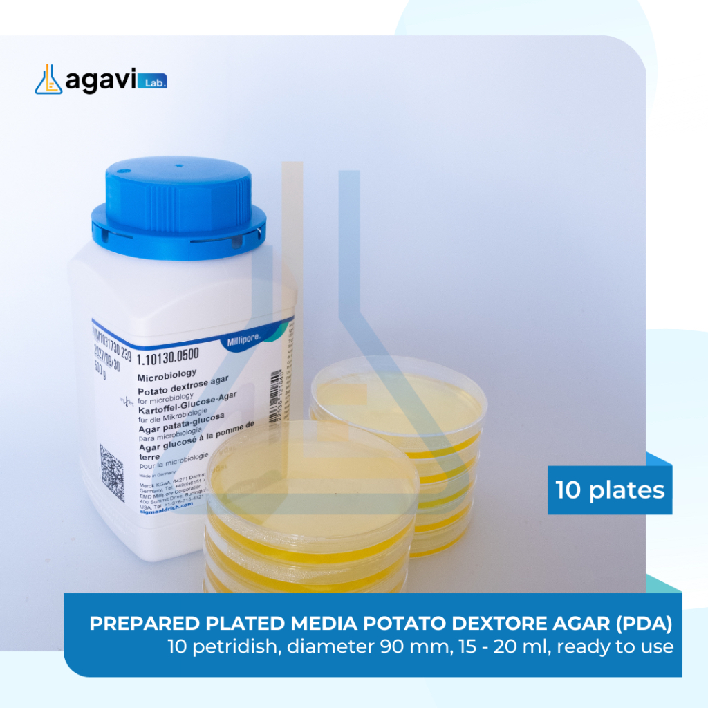 PREPARED PLATED MEDIA POTATO DEXTORE AGAR/ MEDIA PDA 10 PCS CAWAN PETRI SIAP PAKAI