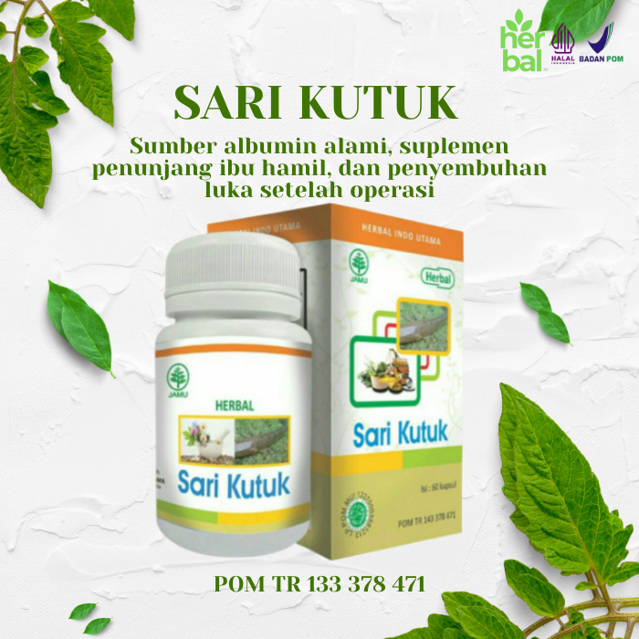 obat SARI KUTUK pro albumin albusmin ekstrak minyak kapsul pil kutuk herbal plus kesehatan dari ikan