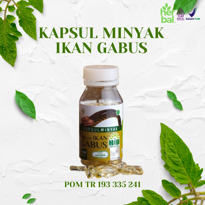 Obat pro albumin albusmin ekstrak minyak kapsul pil kutuk herbal plus kesehatan dari ikan gabus kutu