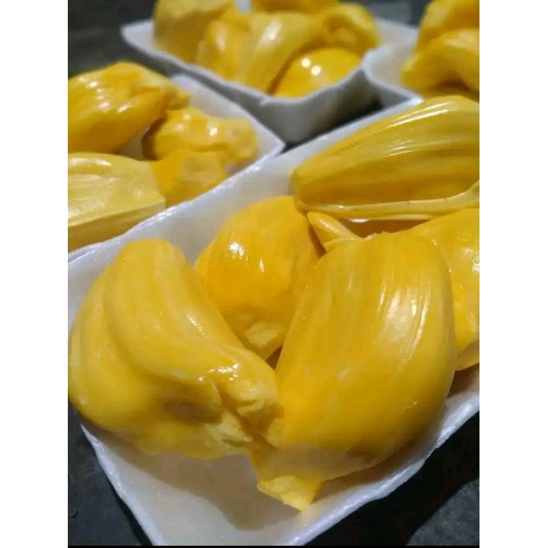 

Nangka Indramayu