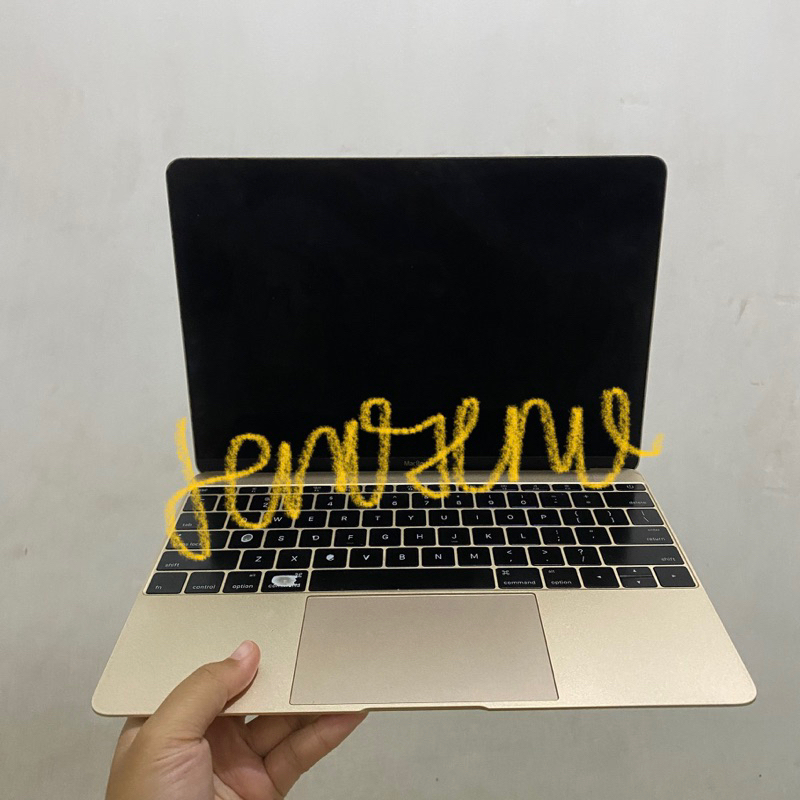 MacBook Retina 2015 12 inch second preloved