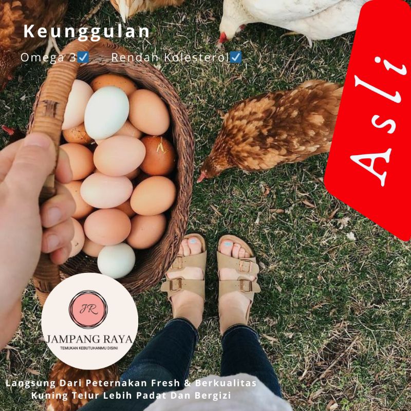 

Telur /Telor Ayam Kampung Dari Ayam Kampung Berkualitas Dikonsumsi Fertil Juga Bisa