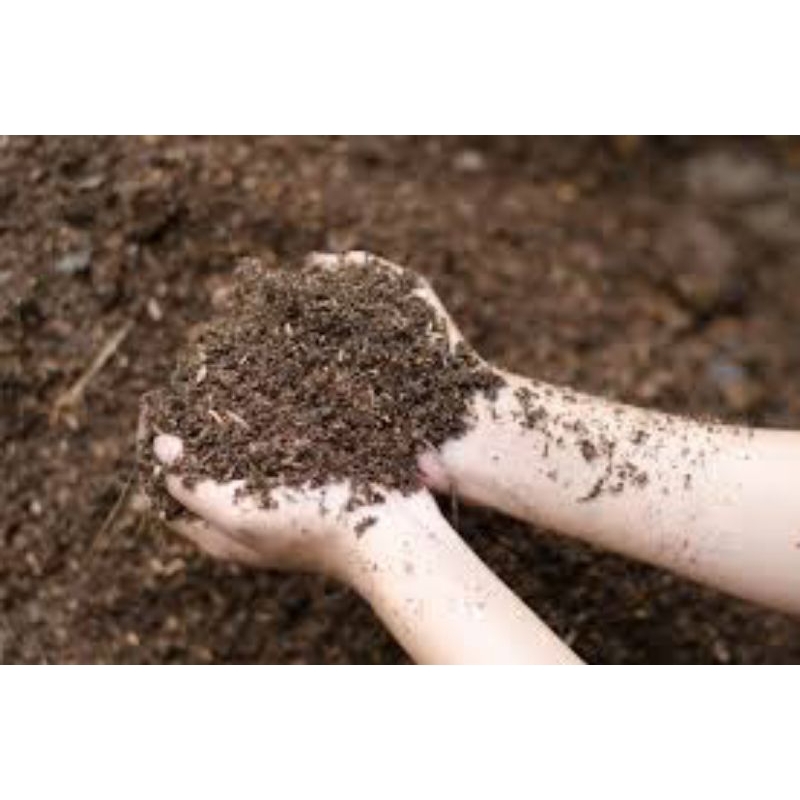 media tanam tanah humus bawah pohon bambu 1 kg/media tanam tanah humus