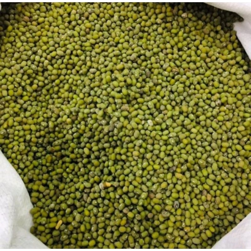 

REPACK KACANG IJO IMPOR