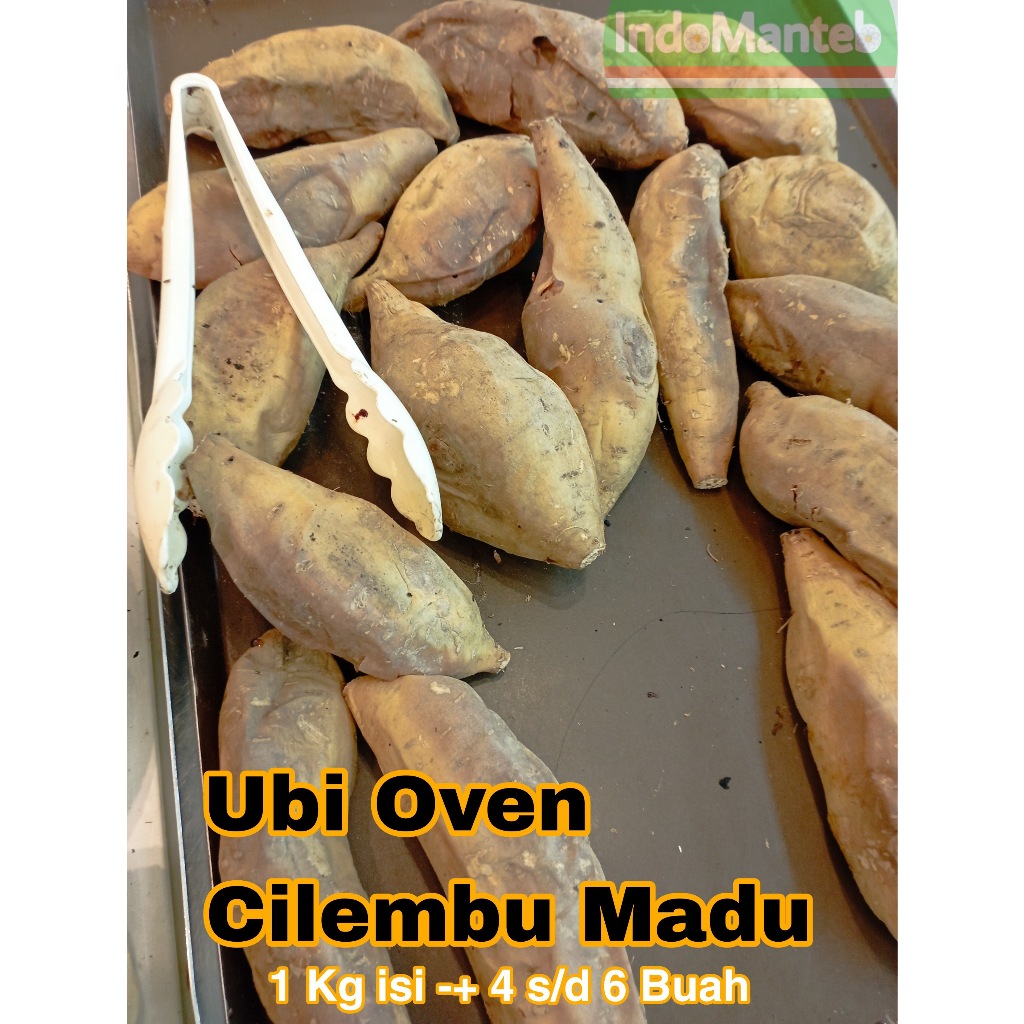 

Ubi Oven Cilembu Madu Matang Siap Makan Siap Kirim Instant Go Send Same Day dan Pengiriman Area Jawa Timur