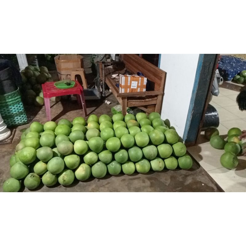 

jeruk pamelo madu yg manis dari Pati GROSIR(10,KG)