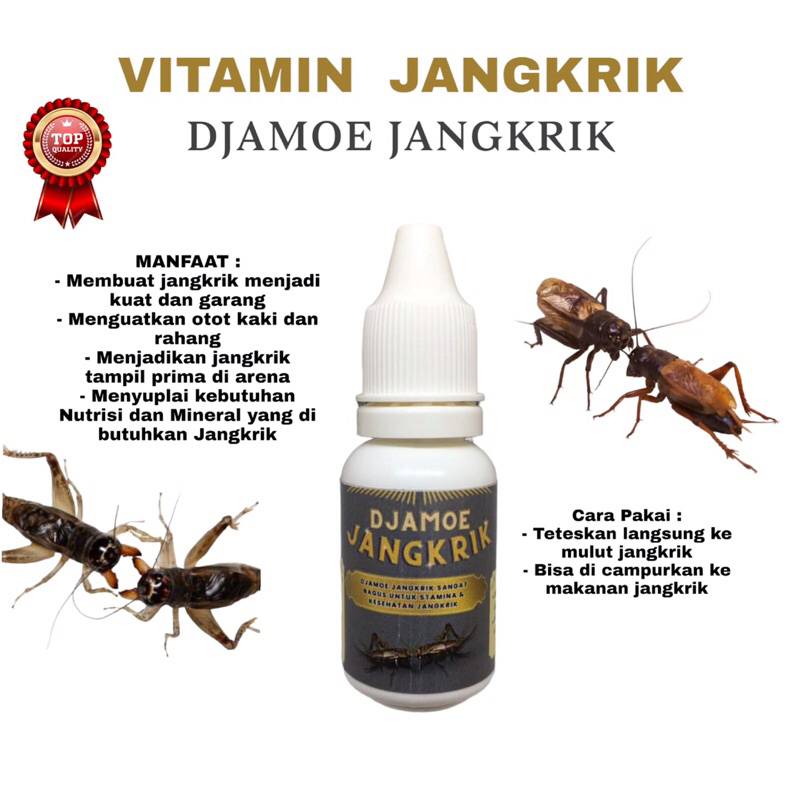 vitamin jangkrik aduan vitamin jangkrik petarung vitamin fighter menguatkan otot rahang dan otot kak