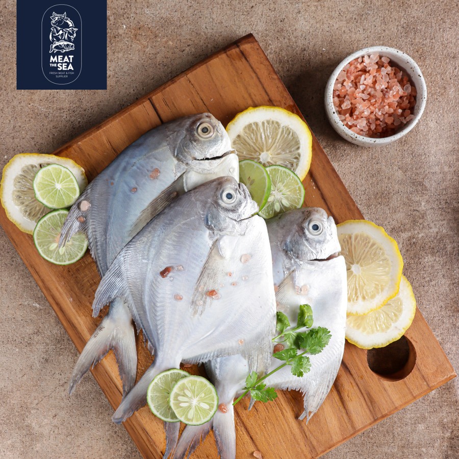 

Ikan Bawal Putih ● Fresh