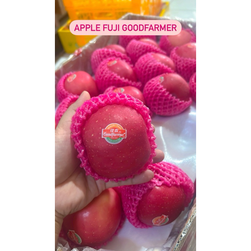 

Apel Fuji fresh|Apel Fuji ready |buah segar|GBMfresh