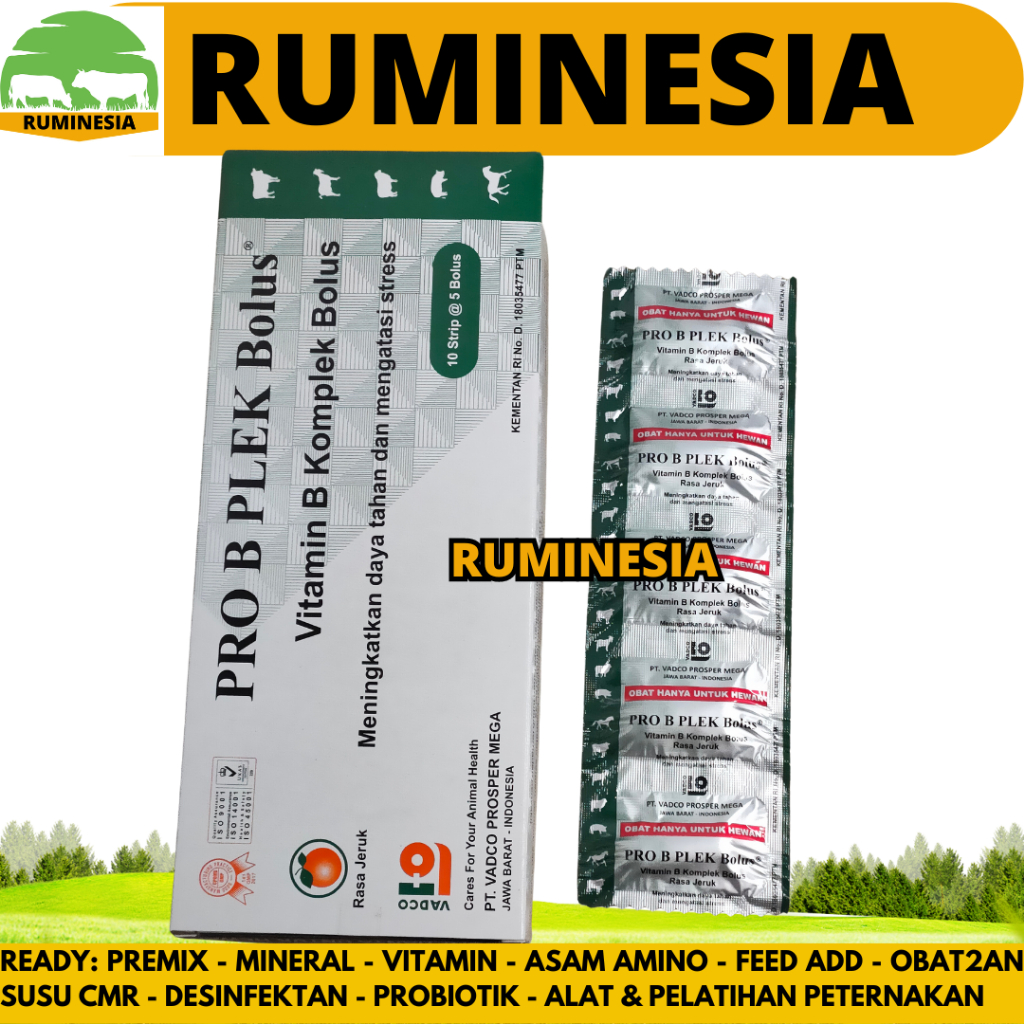 PRO B PLEK BOLUS 1 DUS (50 BOLUS) VADCO - Vitamin B kompleks Hewan Bolus RASA JERUK Sapi Domba Babi