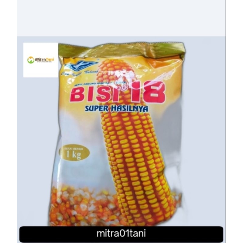 benih jagung hibrida bisi 18