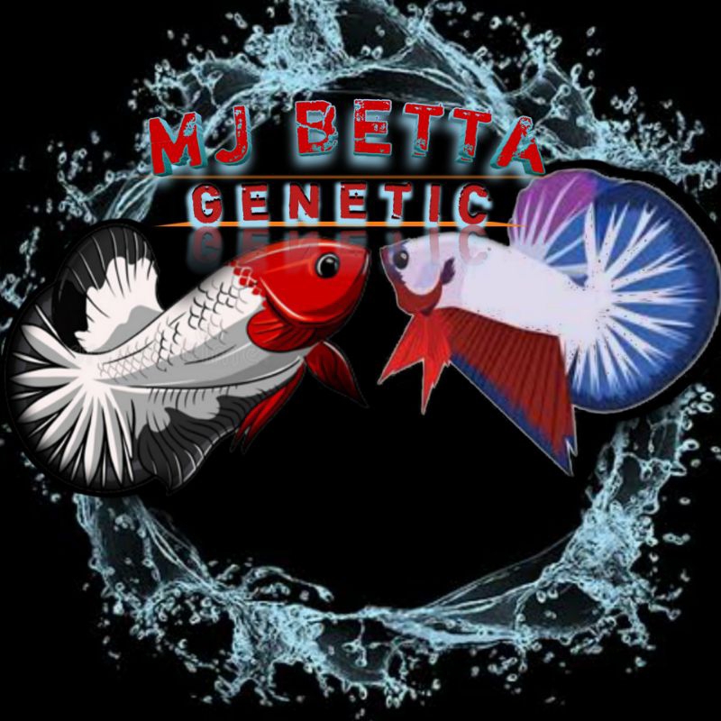 

REKAP STICKER CUPANG