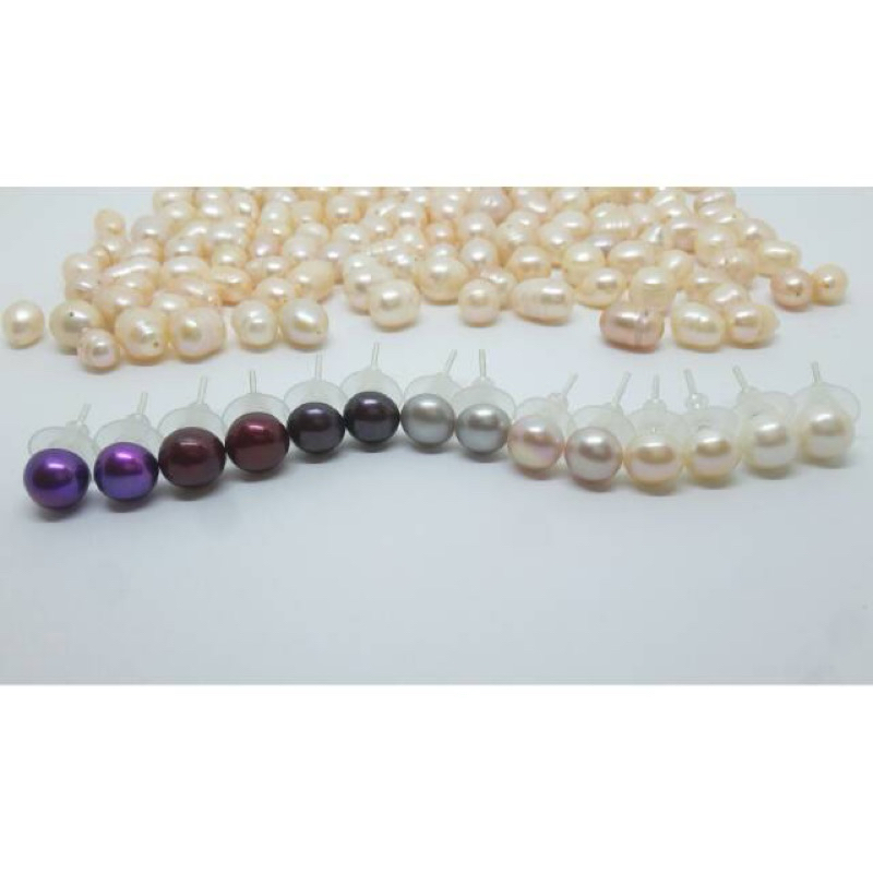 giwang anting mutiara asli lombok | giwang pentol perak mutiara air tawar asli lombok | giwang antin