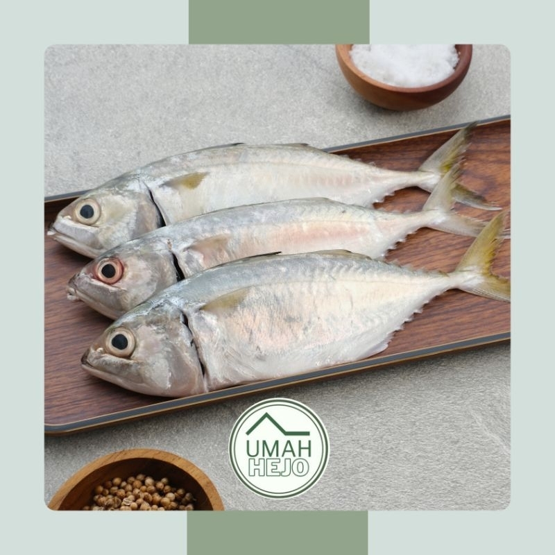 

IKAN KEMBUNG SEGAR | IKAN KEMBUNG FRESH - 500GR