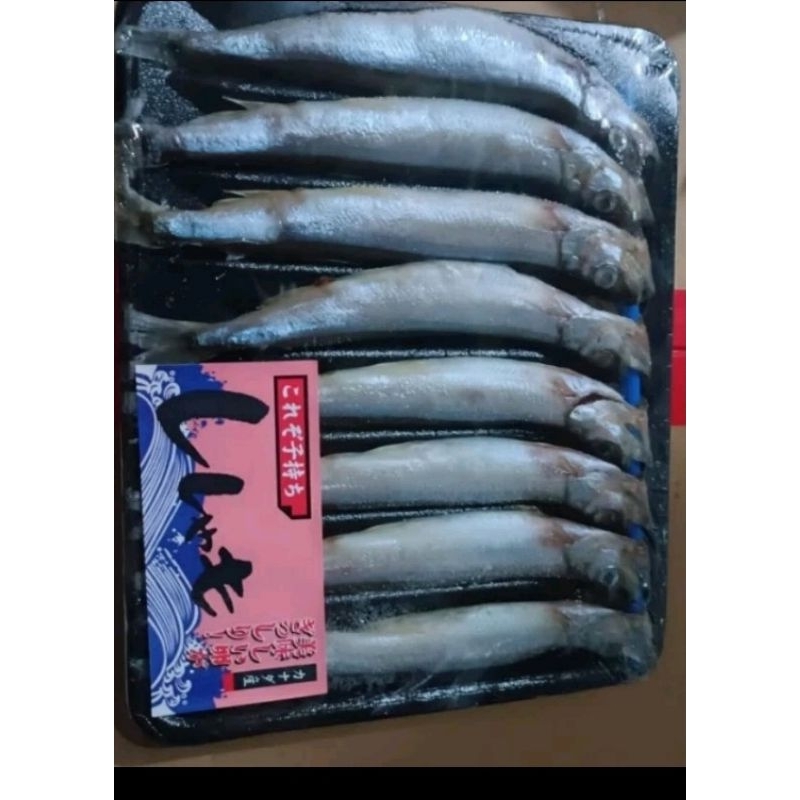 

Ikan Shishamo/ Caplin- Isi 8 Ekor/Tray PALMERAH