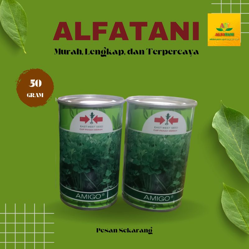 Benih Seledri AMIGO 50Gram
