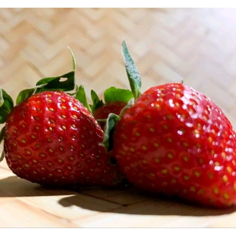 

BUAH STRAWBERY / STROBERI / STRAWBERRY / JAMIN SEGAR / 250G 500G