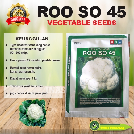 Benih kol bunga  ROO SO 45 F1
