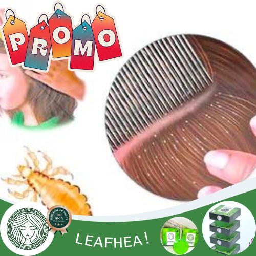 Obat Kutu Rambut Paling Ampuh, Obat Telur Kutu Rambut, Obat Ketombe Parah, Ketombe Kerak Kulit Kepal