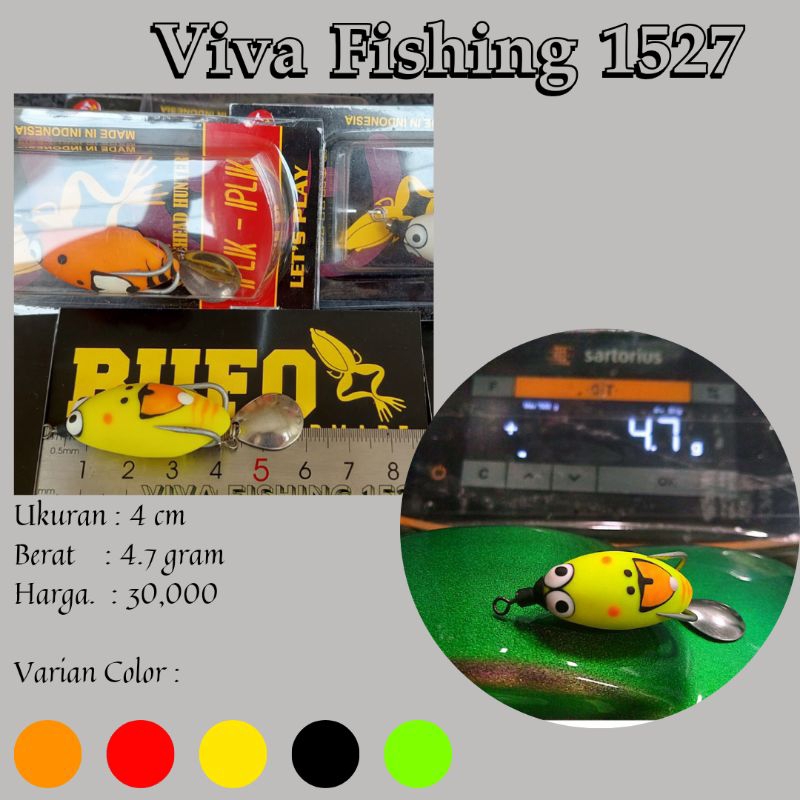 Bufo Soft frog Larva