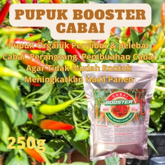 Pupuk Booster Cabe Cepat Berbuah Lebat Pupuk Pelebat Cabe Rawit Pupuk Pelebat Cabe Merah Pupuk Cabe 