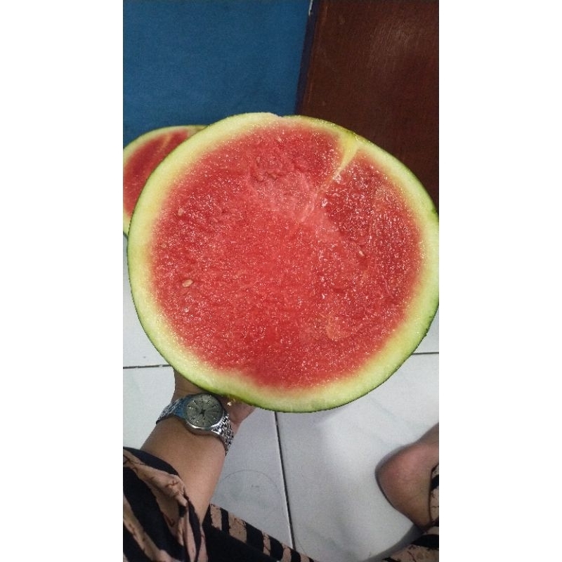 

SEMANGKA MERAH | 1 BUAH /BJ | Pusate Buah