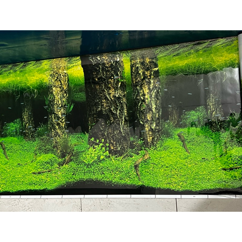 poster aquarium/wallpaper aquarium/backgrown aquarium 60cm