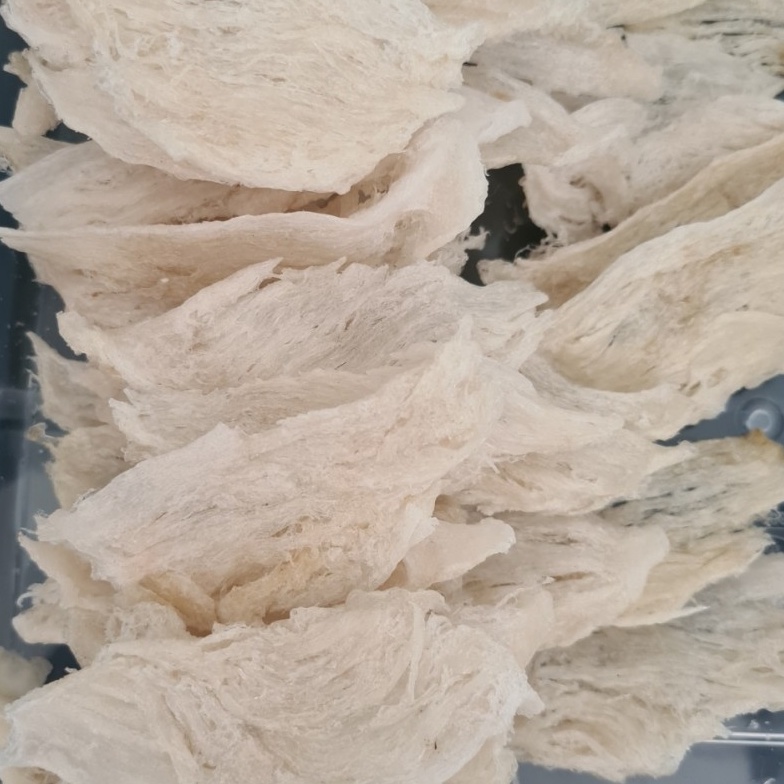 

Ready Stok Sarang Burung Walet Birdnest Bersih Patahan Besar Sedang Kecil Natural Asli Yenwo Harga Per Gram