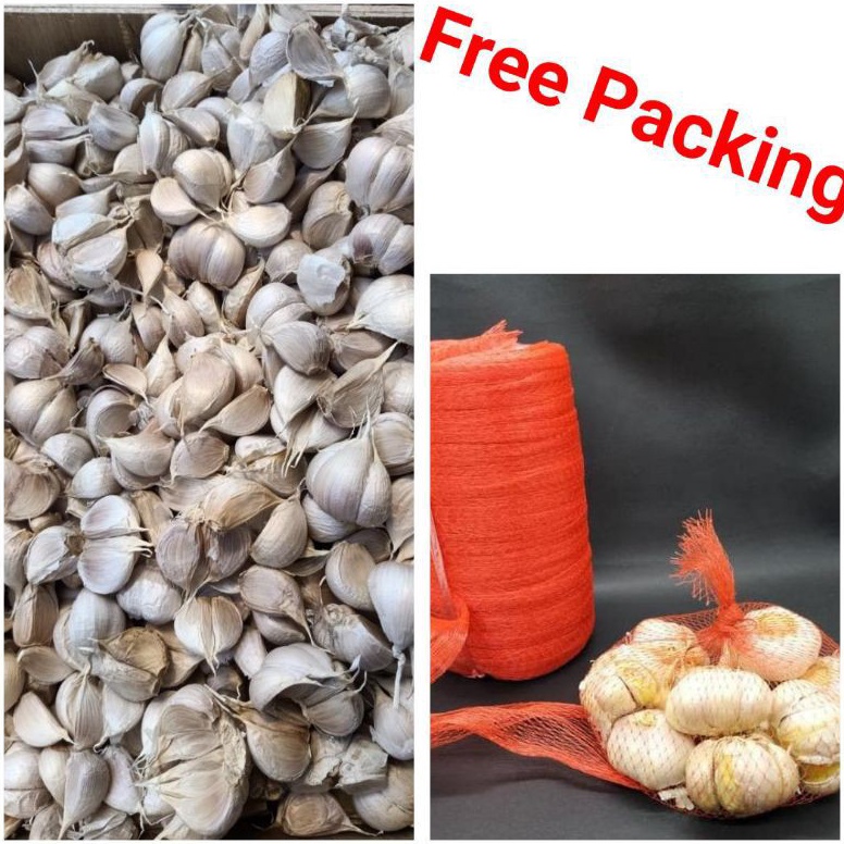 

FREE ONGKIR bawang putih kating Bersih 1KG Kilo Import Fresh Grade A