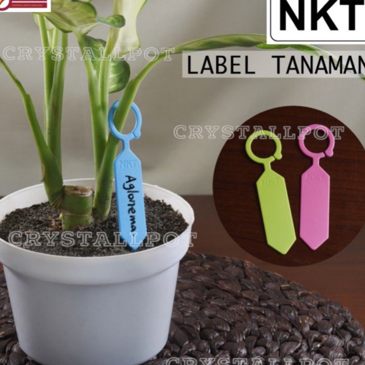 

TERBARU label tag tanaman nkt warna warni name tag bahan tebal per pack isi 5 pcs