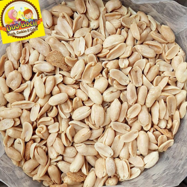 

FREE ONGKIR Kacang Bawang Kapri Bali Jumbo Gurih 25 Gram Duo Bocil Snack