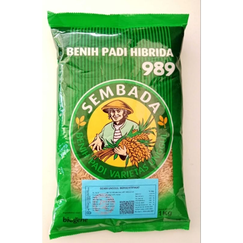 BENIH PADI HIBRIDA SEMBADA 989