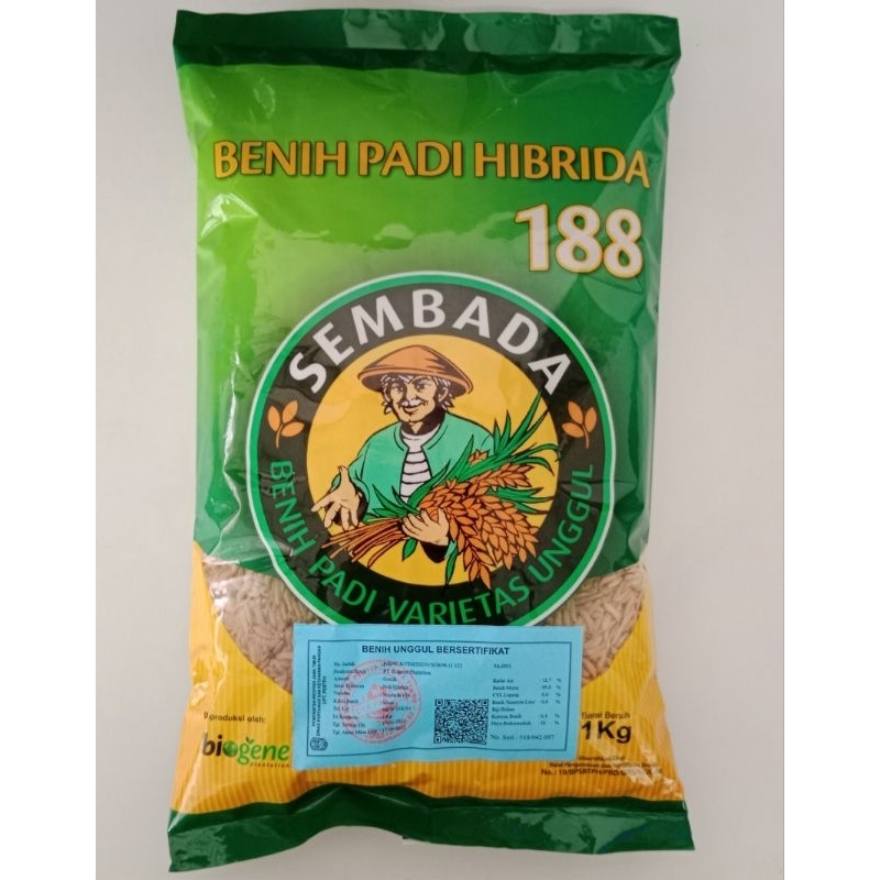 BENIH PADI HIBRIDA SEMBADA 188