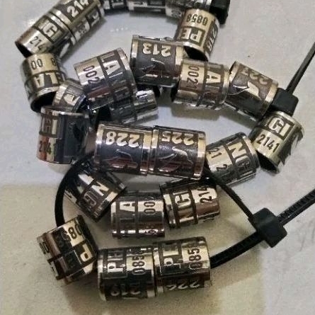 25 BIJI RING BURUNG MERPATI BAJA TIMBUL TINGGI