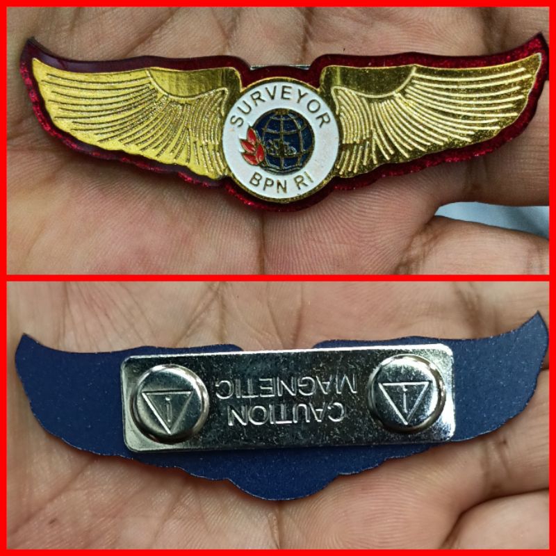 PIN SURVEYOR BPN/ WINGS SURVEYOR BPN / WINGS SURVEYOR AGRARIA