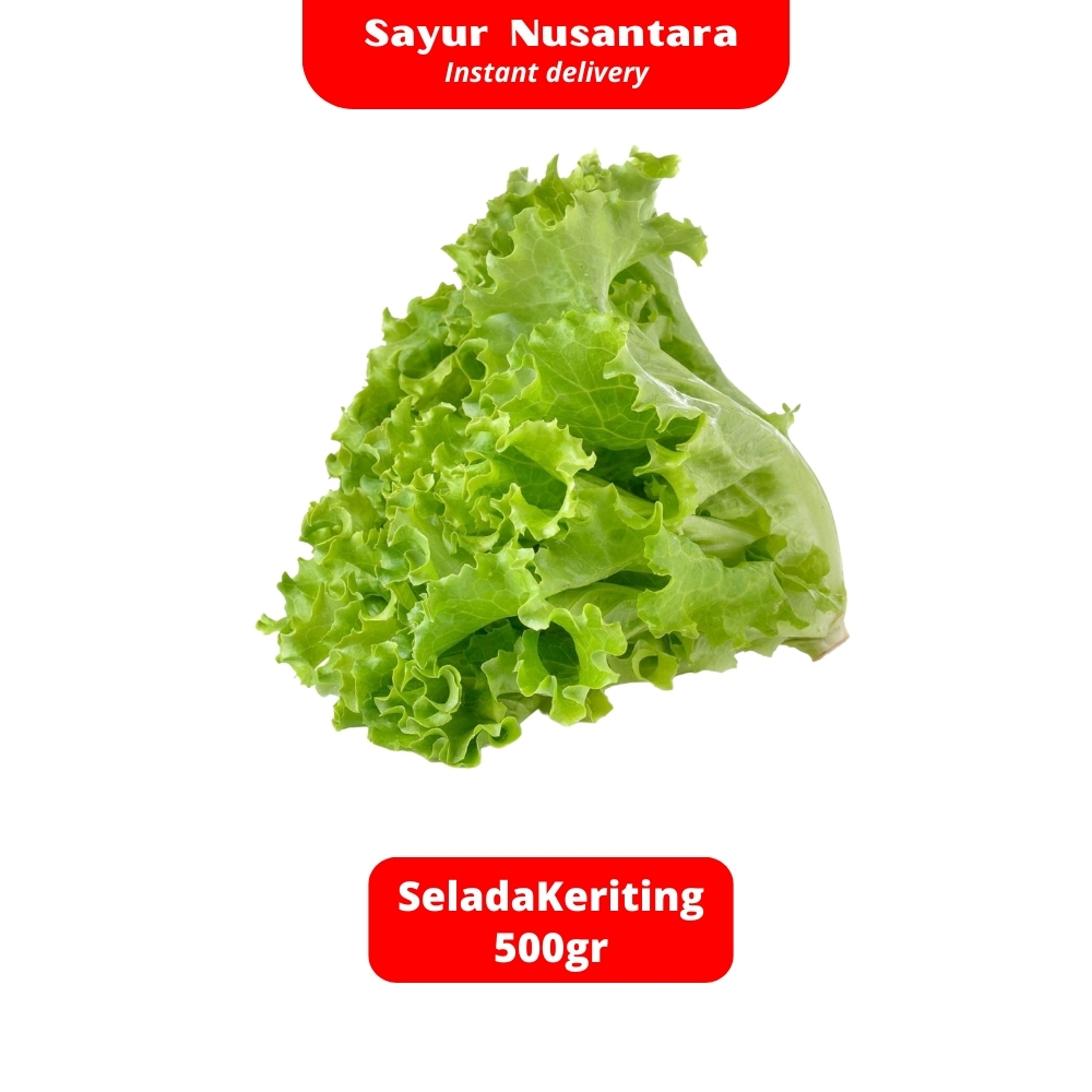 

Selada Keriting 500gr - Sayur Nusantara