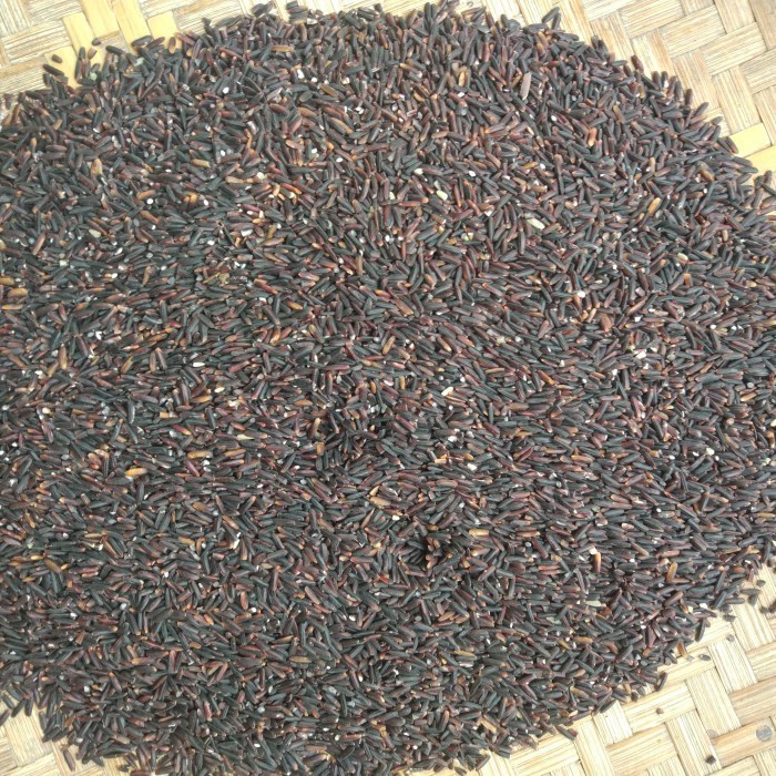 

Beras Hitam Pecah Kulit 1 Kg untuk Diet & Kesehatan