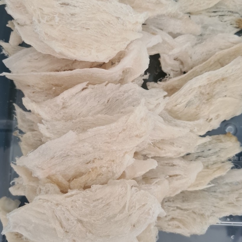 

TEBUS MURAH Sarang Burung Walet Birdnest Bersih Patahan Besar Sedang Kecil Natural Asli Yenwo Harga Per Gram