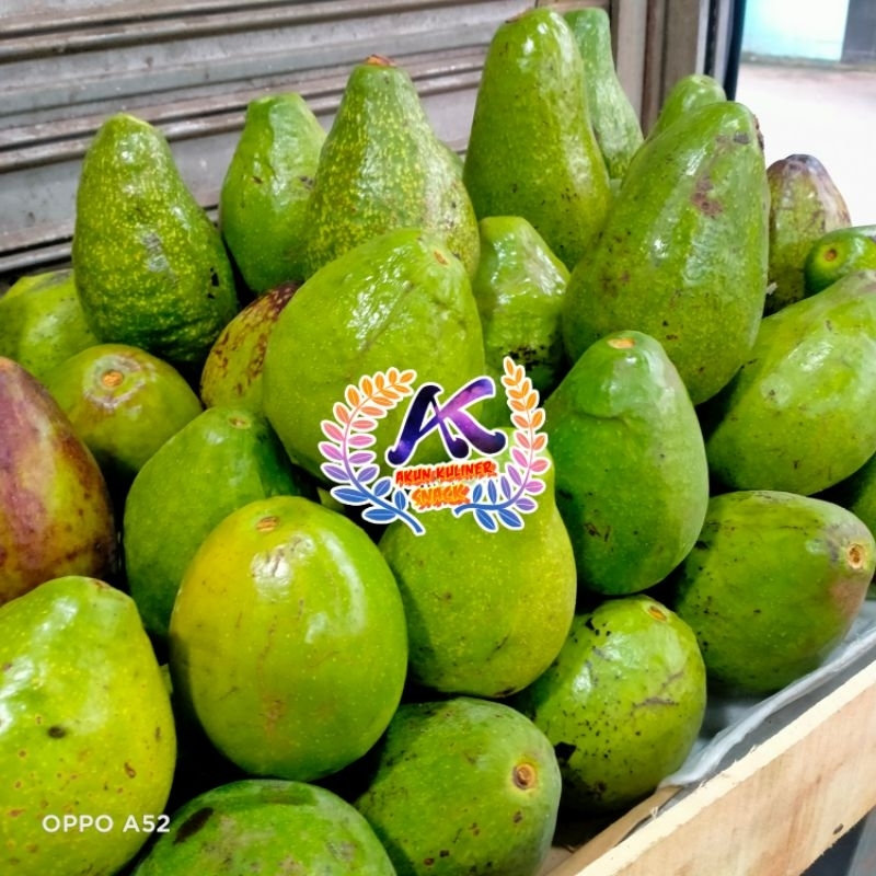 

ALPUKAT MENTEGA 1KG