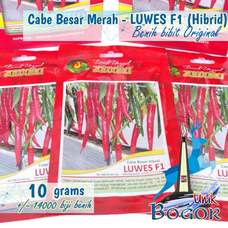 Bibit Cabe Merah Besar  - LUWES F1 (Hibrid) 10gX25 Benih Unggul 10 gram produk asli JAWARA