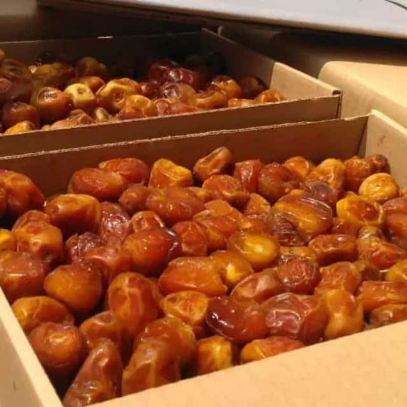 

KURMA PREMIUM SUKARI 500gr