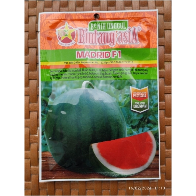 benih bibit semangka/MADRID F1 @20gram - Bintang Asia