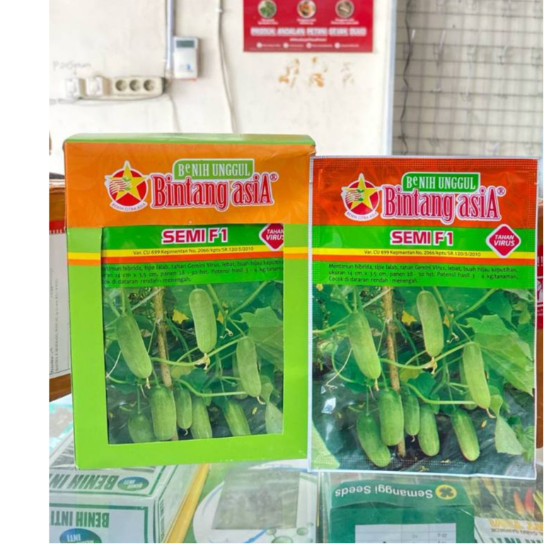 enih Bibit Timun Lalap Semi F1 20Gram Original Bintang Asia Bibit Mentimun