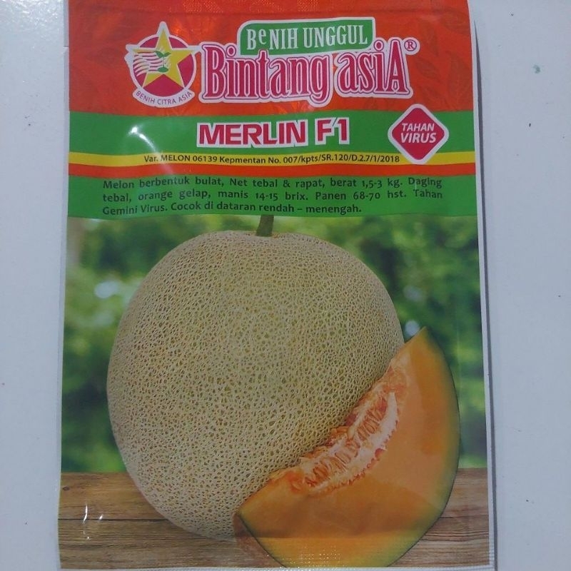 Benih bibit MELON MERLIN F1 20 gram Tahan virus