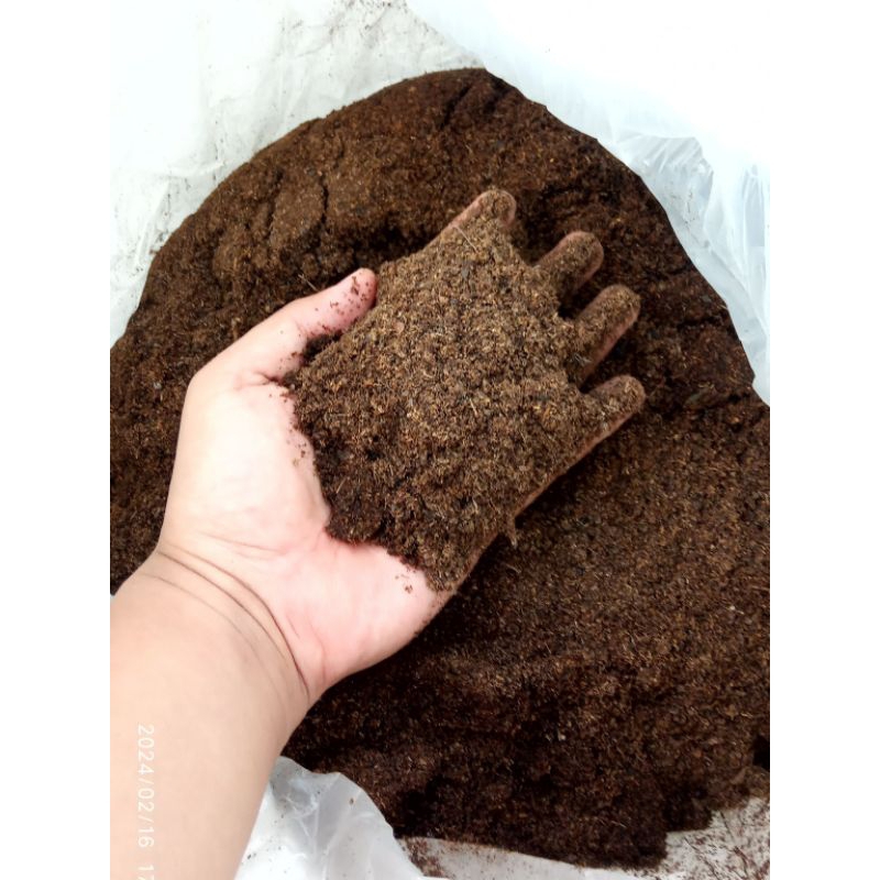 pupuk kohe kambing fermentasi