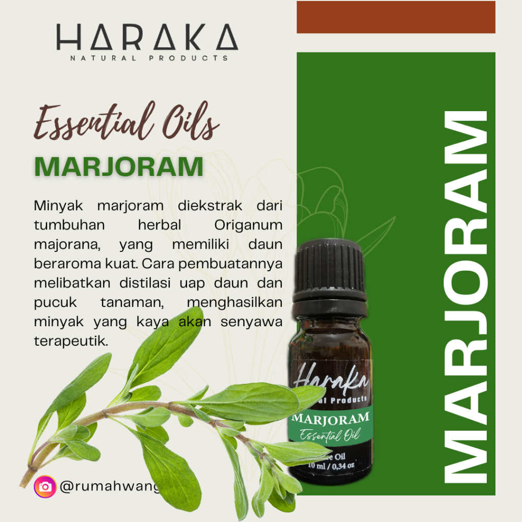 Essential Oil / Minyak Atsiri – Marjoram Oil