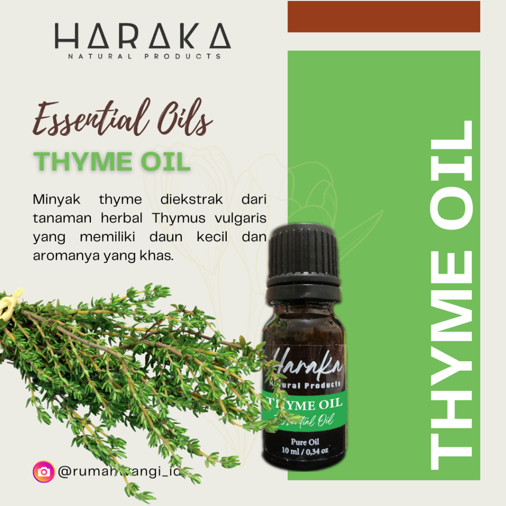 Essential Oil / Minyak Atsiri – Thyme Oil