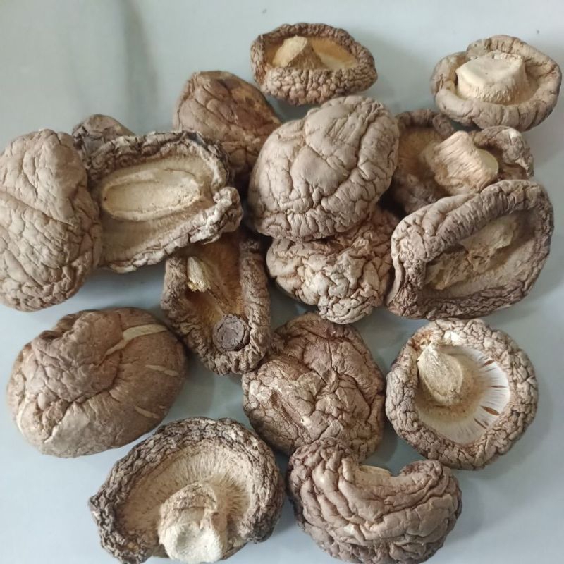 

jamur hioko/shitake 50gr